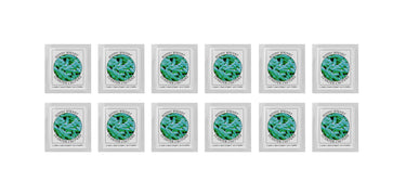 Buy Online Pack of 12 Freeze-dried Culture Sachets for Bifido Yogurt